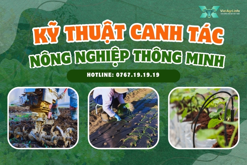 ky thuat canh tac nong nghiep thong minh cho cac loai cay trong pho bien