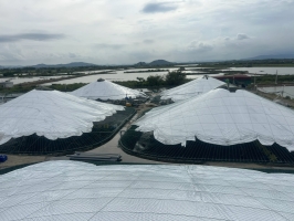 Giải pháp tối ưu cho chăn nuôi & nhà xưởng công nghệ cao