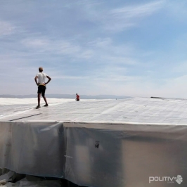 Tôm khỏe - ổn định- mua nào cũng trúng