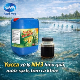 YUCCA NƯỚC cho tôm cá