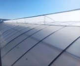 Bán màng nhà kính Politiv Israel chính hãng