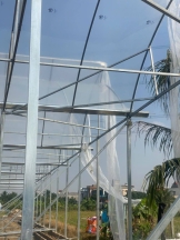 Bảo vệ mùa vụ hiệu quả cùng POLITIV Israel