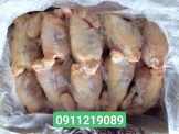 Gà Nhập Khẩu Nguyên Con – Giao Nhanh Tận Nơi