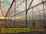 Nhà lưới trồng rau