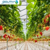 POLITIV Màng nhà kính số 1 Israel